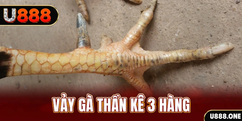 kubet 88 nổ hũ đổi thưởng . ai