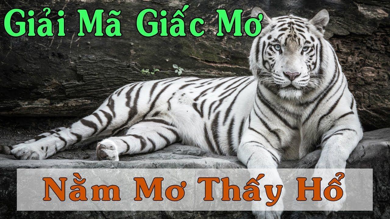 kubet 88 xổ số miền trung