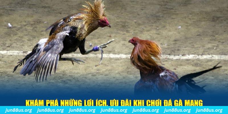 kubet 88 Tài Xỉu 2