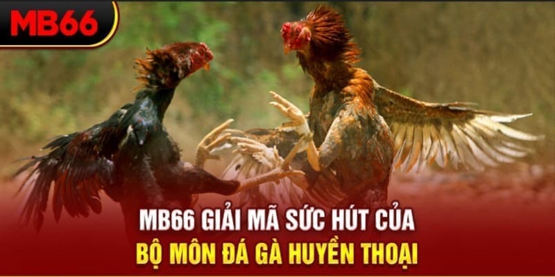 kubet 88 long bảo trong baccarat là gì