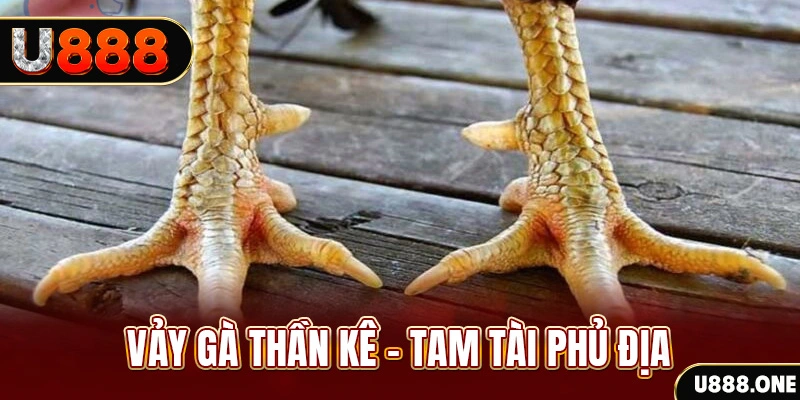 kubet 88 xổ số 30 ngày