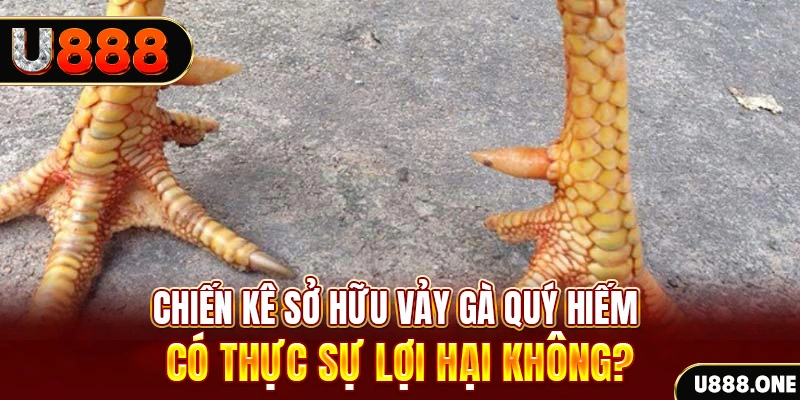 kubet 88 game cá cược máy bay