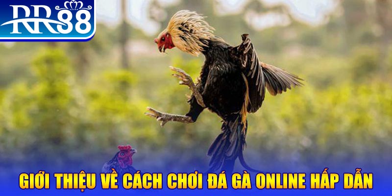 kubet 88 nổ hũ 2 mặt là gì